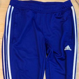 Womens Adidas Blue Climacool Pants